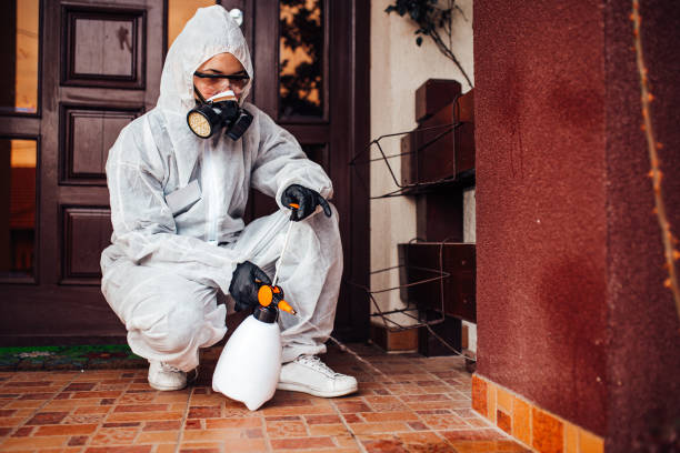 Attic and Crawl Space Rodent Treatment in Luxora