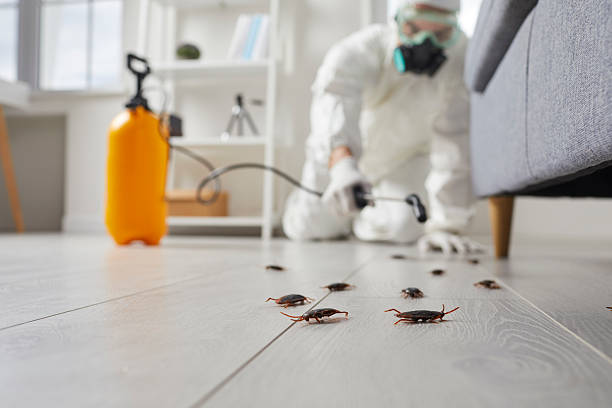 Commercial Rodent Management in Luxora
